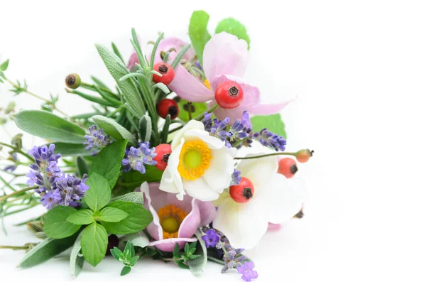 Bouquet of herbs and berries — Stock Photo, Image