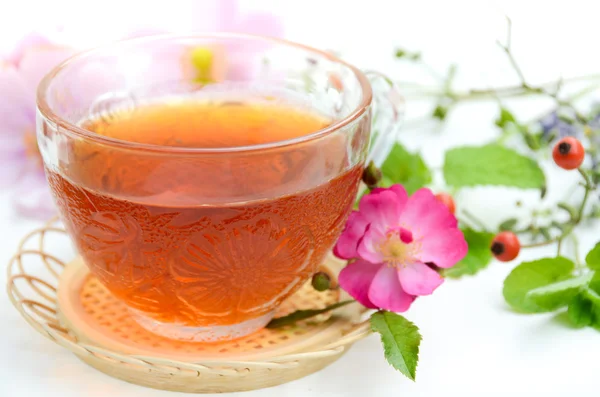 Tea with herbs in white background — Stock Photo, Image