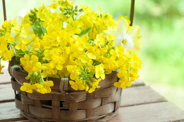 Senap blommor och påskliljor i korg — Stockfoto