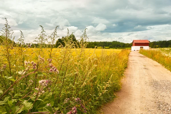 Paisaje rural en Vantaa — Foto de Stock