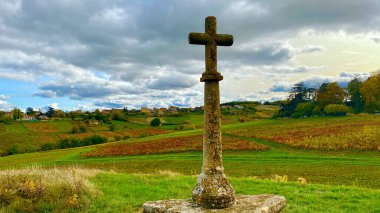 Fransa 'nın Beaujolais bölgesindeki güzel üzüm bağları