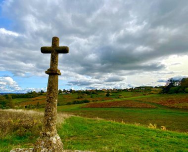 Fransa 'nın Beaujolais bölgesindeki güzel üzüm bağları