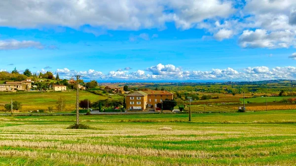 Beautiful Vineyards Region Beaujolais France — Stock Photo, Image