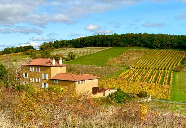 Schöne Weinberge Der Region Beaujolais Frankreich — Stockfoto