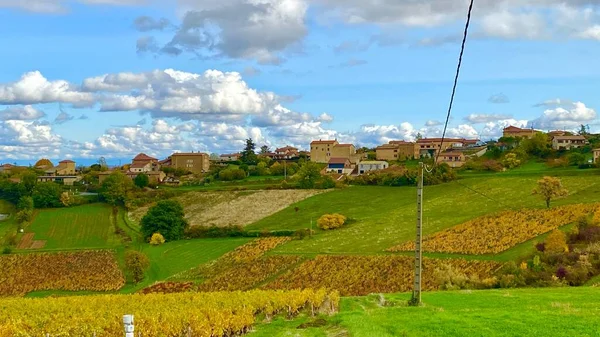 Hermosos Viñedos Región Beaujolais Francia — Foto de Stock