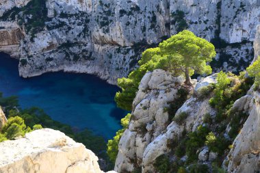 Fransa 'nın güneyindeki Calanques Ulusal Parkı' nın kayalık uçurumları