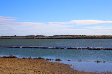 Rhone Nehri deltası Fransa 'nın güneyindeki Camargue Ulusal Parkı' nda.
