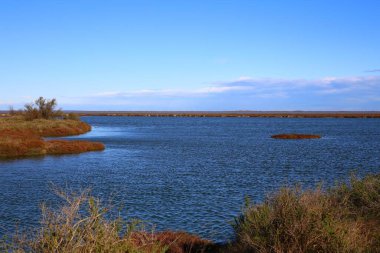 Rhone Nehri deltası Fransa 'nın güneyindeki Camargue Ulusal Parkı' nda.