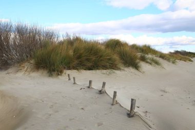 Camargue Ulusal Parkı 'nda bir kum şeridi
