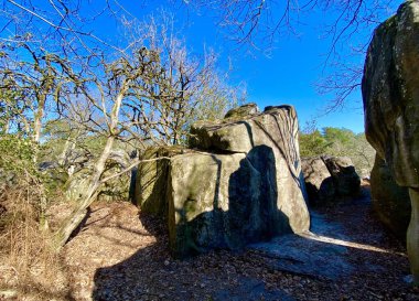 Paris yakınlarındaki Fontainebleau 'da büyük kayalıkları olan orman.