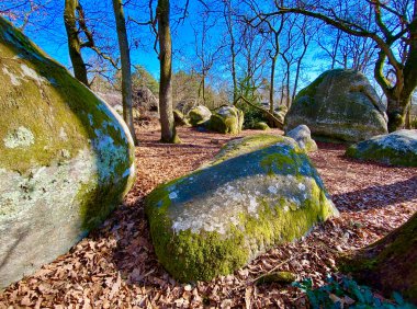 Paris yakınlarındaki Fontainebleau 'da büyük kayalıkları olan orman.