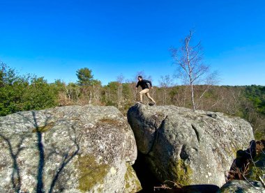 Paris yakınlarındaki Fontainebleau 'da büyük kayalıkları olan orman.