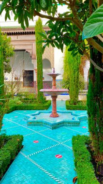 Paris şehrindeki büyük renkli cami.