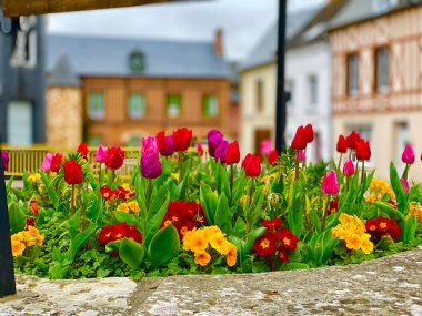 Cany-Barville 'in ortasında lale çiçekleri olan eski güzel bir kuyu.