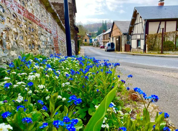 Beautiful spring flowers by the house in the village of Lyons-la-Foret