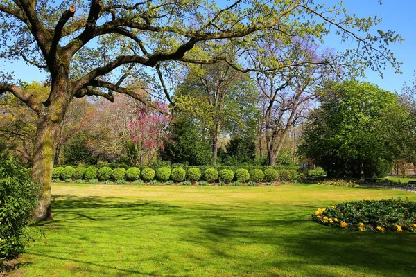 Vacker Grön Park Våren — Stockfoto