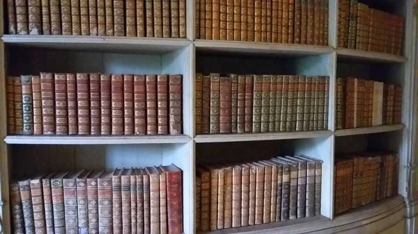 Stara Historyczna Biblioteka Marfa Portugalii — Zdjęcie stockowe