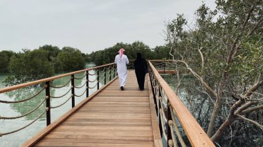 Abu Dabi 'deki Mangrove Ulusal Parkı