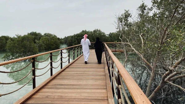 Εθνικό Πάρκο Mangrove Στο Άμπου Ντάμπι — Φωτογραφία Αρχείου