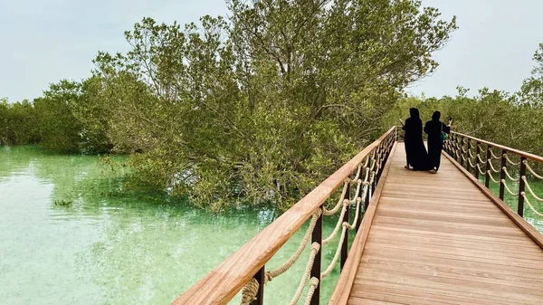 Mangrove National Park Abu Dhabi — Stock Photo, Image