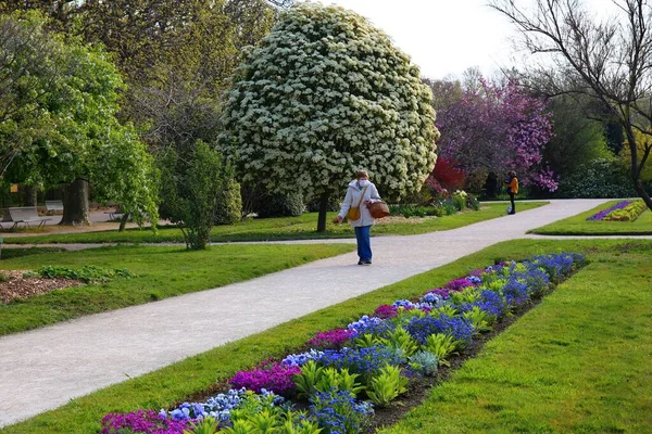 巴黎Jardin Des Plantes春花盛开 — 图库照片