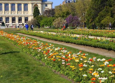Paris 'teki güzel Jardin des Plantes