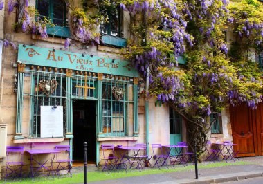 Au Vieux Paris d 'Arcole Kafe Mayıs' ta Paris 'te çiçek açan bir salkımla