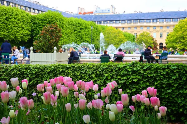 Beautiful Gardens Fountain Palais Royal Paris — Stock Photo, Image