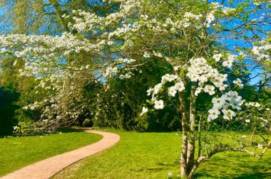 Sceaux 'daki botanik bahçesinin güzel doğası.