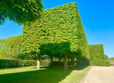 Sceaux 'da güzel yeşil bir ağaç bahçesi var.