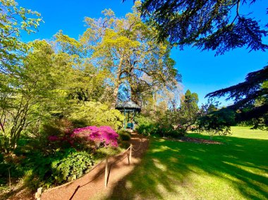 Sceaux 'daki botanik bahçesinin güzel doğası.