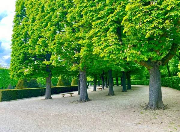 フランスのスコー公園の美しい庭園 — ストック写真