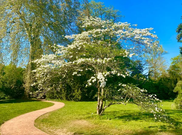 Sceaux 'daki botanik bahçesinin güzel doğası.