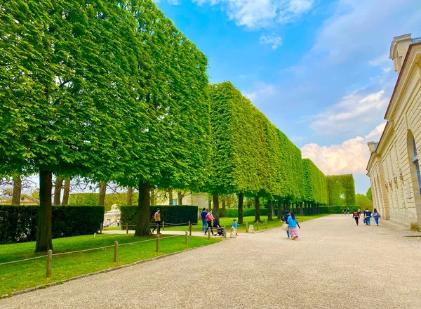 Hermoso Jardín Topiario Verde Sceaux — Foto de Stock