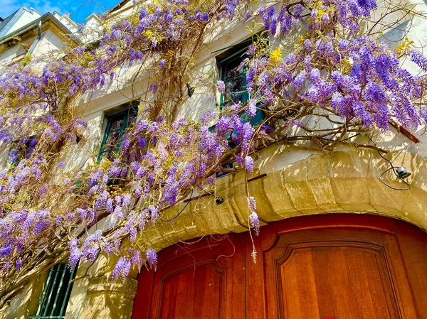 Hermosa Cafetería Callejera Vieux Paris Arcole Ile Cite París — Foto de Stock