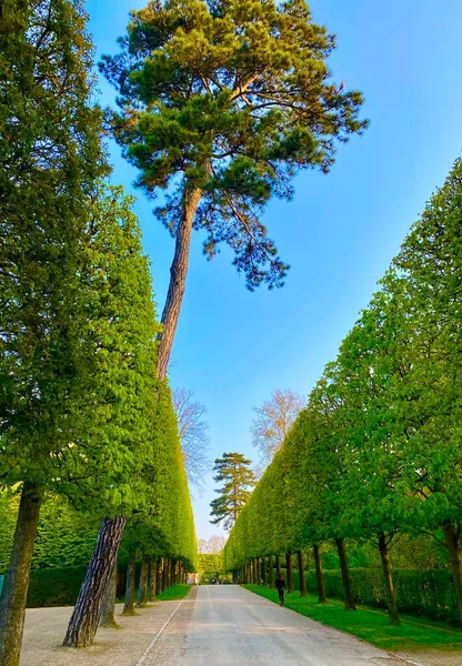 Belle Verdure Printemps France — Photo