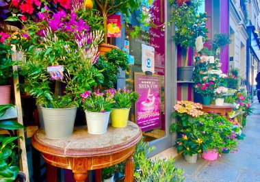 Paris 'teki renkli çiçekçi.