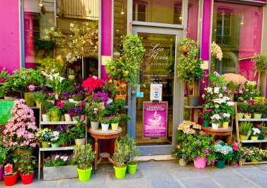 Paris 'teki renkli çiçekçi.