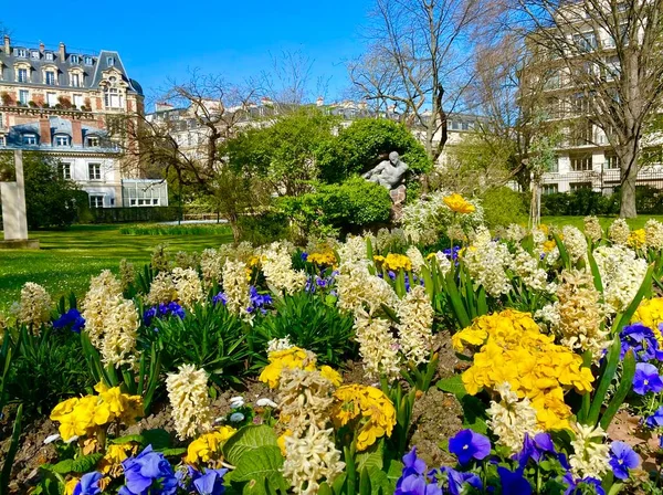 Belles Fleurs Colorées Jardin Luxembourg Paris — Photo