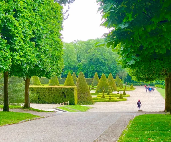 Beau Jardin Topiaire Dans Parc Sceaux — Photo