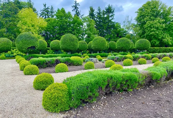 Beau Jardin Topiaire Dans Parc Sceaux — Photo