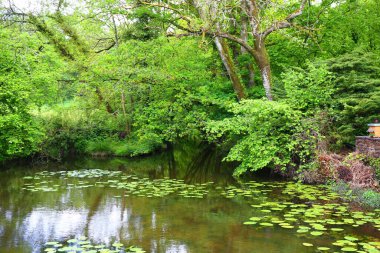 Fransa 'nın Brittany bölgesindeki Rochefort-en-terre' de küçük bir su göleti