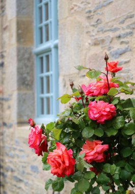 Fransa 'nın en güzel köylerinden biri olan Rochefort-en-terre' nin güzel ortaçağ köyü, Brittany bölgesinde yer almaktadır.