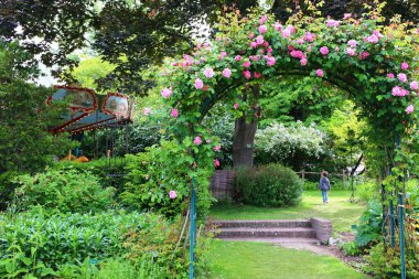 The beautiful iris garden in Jardin des Plantes in Paris clipart