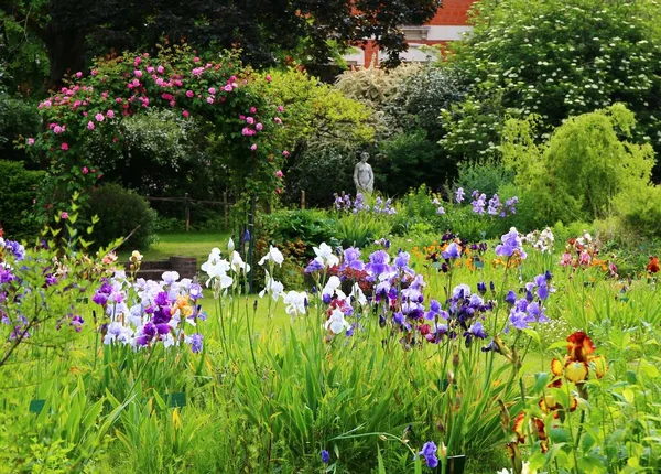 パリのJardin Des Plantesの虹彩の花の信じられないほどカラフルな庭 — ストック写真