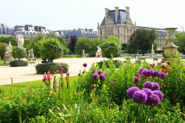 Paris 'in merkezindeki güzel, gür Tuileries bahçeleri.