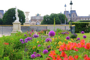 Paris 'in merkezindeki güzel, gür Tuileries bahçeleri.