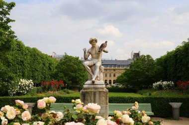Paris 'teki Palais-Royal' in güzel gül bahçesi.