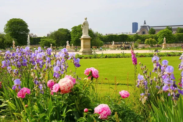 Les Magnifiques Jardins Luxuriants Des Tuileries Dans Centre Paris — Photo