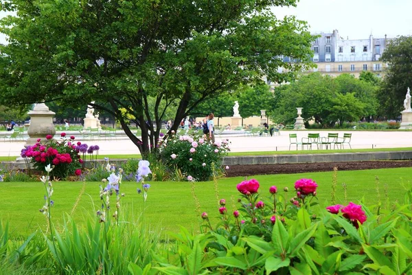 Vackra Frodiga Trädgårdarna Tuileries Centrala Paris — Stockfoto